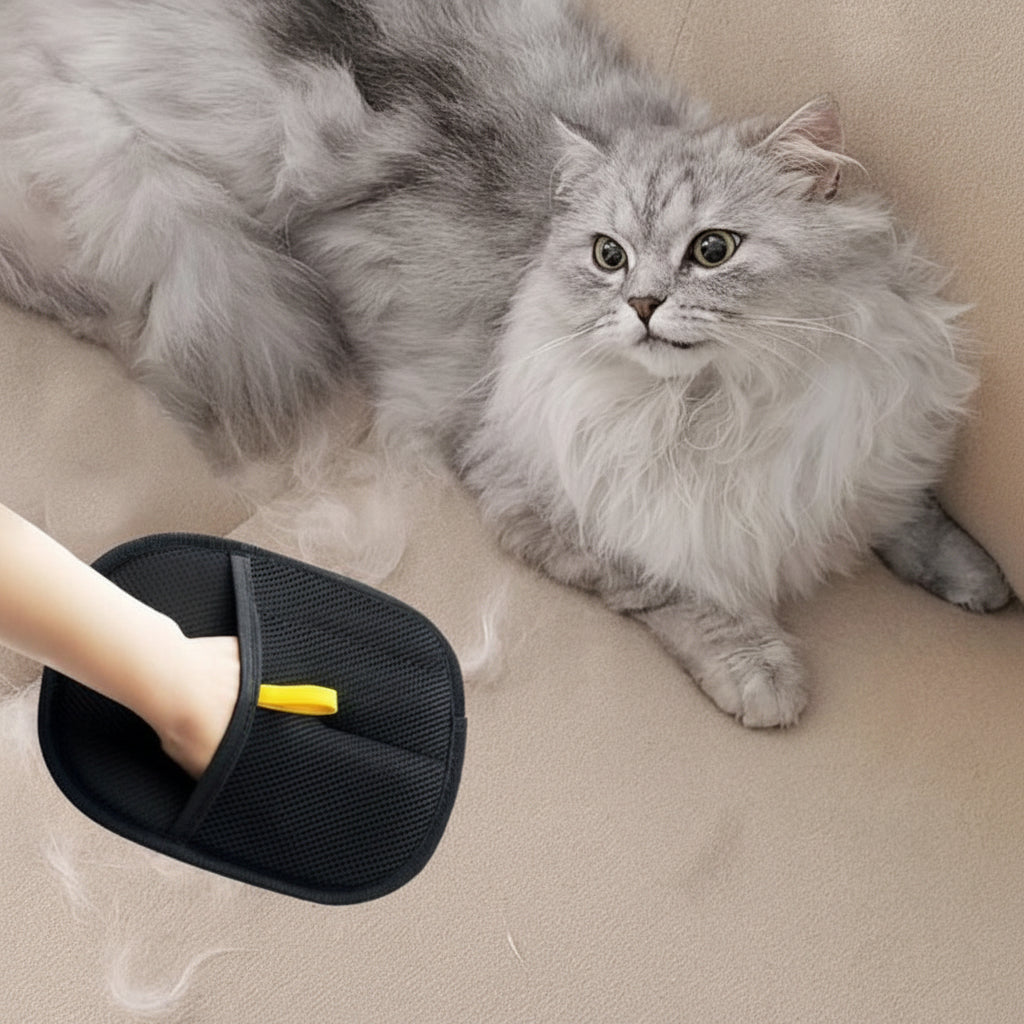 Gray cat lying on a beige surface next to a black slipper with a yellow tag.